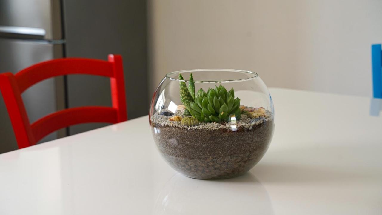 Apartment Aria Verunic Ngoại thất bức ảnh
